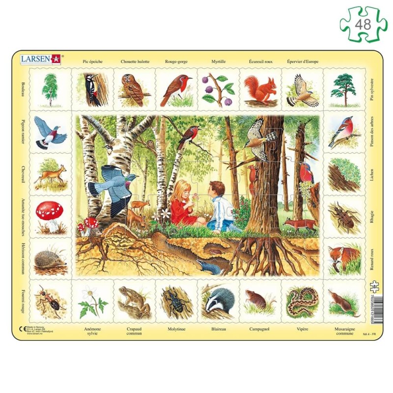 Puzzle avec contour Cueillette en forêt