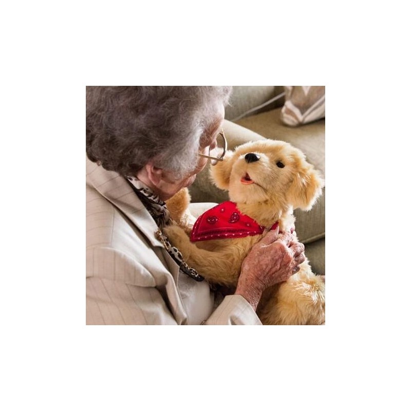 Chat robot peluche interactif - pour personnes âgées alzheimer ehpad