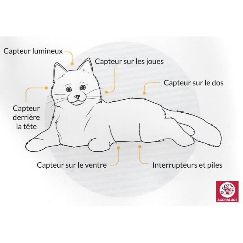 Chat robot peluche interactif - pour personnes âgées alzheimer ehpad