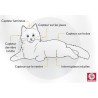 Chat robot Alzheimer - pour personnes âgées - peluche empathique