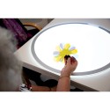 Objets pour table lumineuse - Formes et accessoires translucides