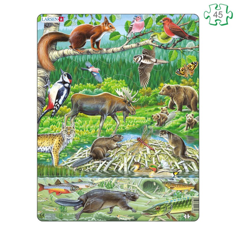 Puzzle avec contours Animaux des forêts nordiques