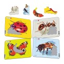 Puzzle 4 insectes
