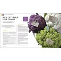 Livre – Saveurs gourmandes du potager