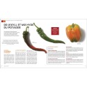 Livre – Saveurs gourmandes du potager