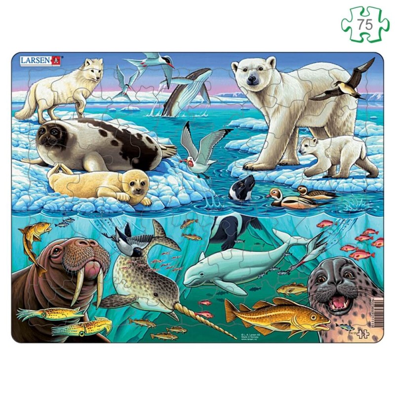 Puzzle avec contour Animaux de la banquise