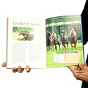 Livre La France en 101 objets culte