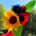  Kit d'Activité Fleurs en Crépon - Créations en papier - Sentosphère