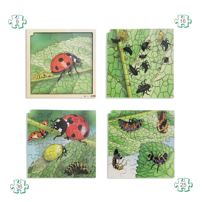 Puzzles naissance La coccinelle