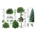 Livre Arbres