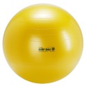 Grandes balles souples - Gym ball pour atelier gymnastique douce seniors