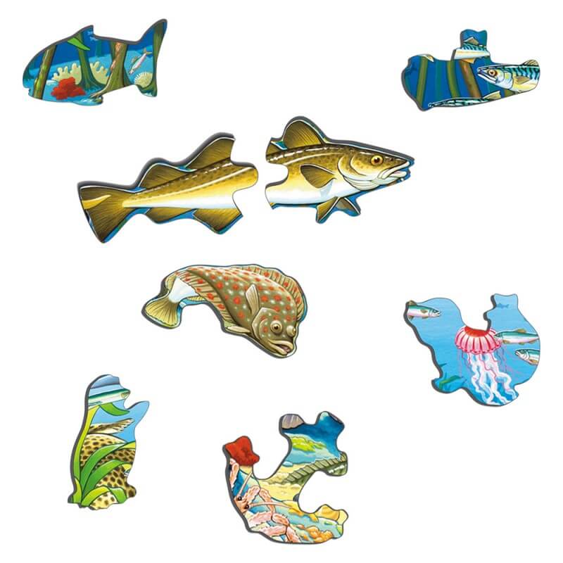 Puzzle avec contour - Animaux de la mer du Nord - 60 pièces