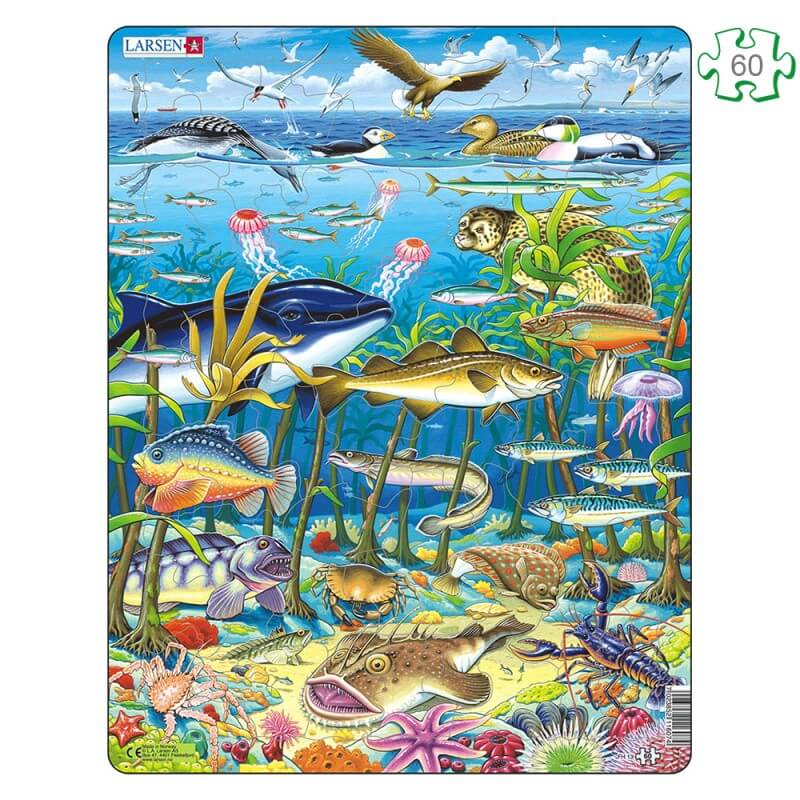 Puzzle avec contour - Animaux de la mer du Nord - 60 pièces