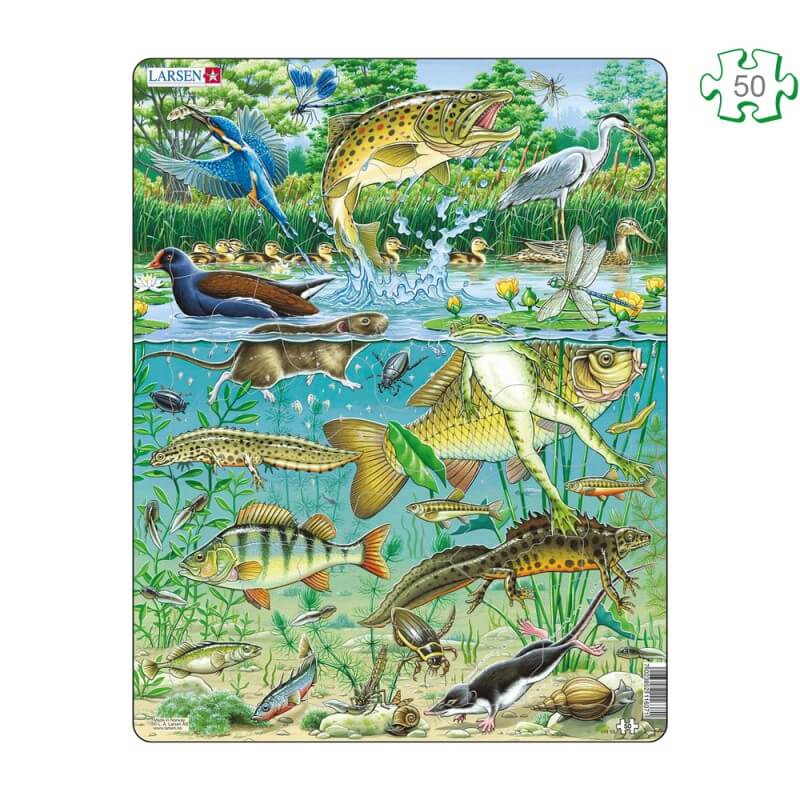 Puzzle Animaux de la rivière – Puzzles en carton avec contour