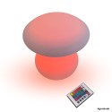 Champignon sensoriel lumineux coloré