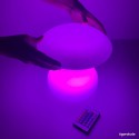 Champignon sensoriel lumineux coloré