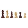 Jeu d'échecs magnétique moyen modèle