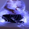 Kit Fibre optique - Source lumineuse et gerbe 200 brins de 2 m