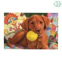 Puzzle adapté Chiot prêt à jouer - 13 pièces