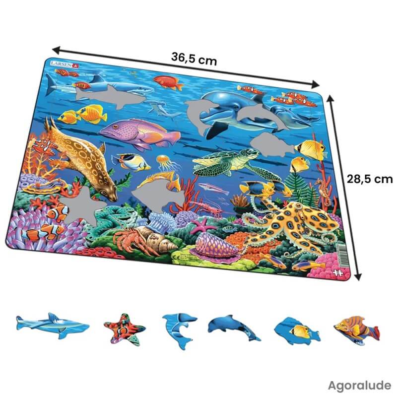 Puzzle Animaux de la mer