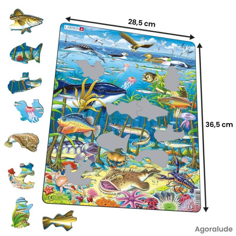 Puzzle avec contour - Animaux de la mer du Nord - 60 pièces
