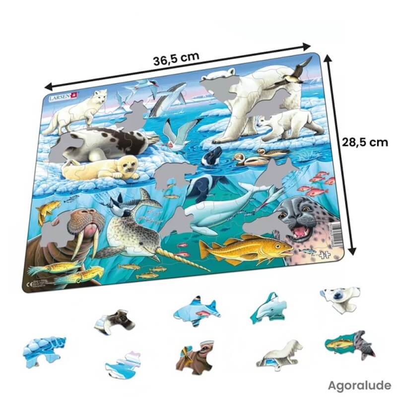 Puzzle grande taille avec contour. Larges pièces pour aider. Animaux de la banquise