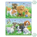 Lot de 2 puzzles avec contour Les chiots