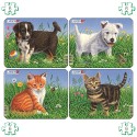 Puzzle 4 chiots et chatons