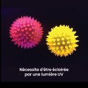Accessoires ultraviolets en salle Snoezlen