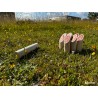 Quilles finlandaises - Mölkky