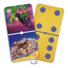 Grands dominos Insectes