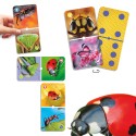 Grands dominos Insectes