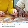 Puzzle adapté - Paris 100 grandes pièces