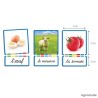 Images et noms