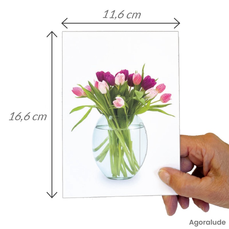 Imagier format moyen Animaux