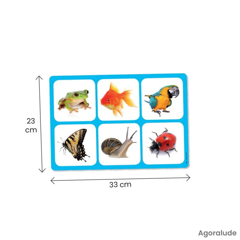 Jeu de loto sur le thème des animaux - Maxiloto – Animation ehpad