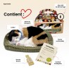 Perfect Petzzz - Chaton Calico