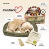 Perfect Petzzz - Chiot Golden Retriever