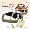 Perfect Petzzz - Chiot Border Collie - Animaux d'empathie