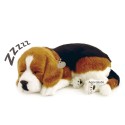 Perfect Petzzz - Chiot Beagle - Animaux d'empathie