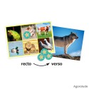 Ouïe Loto sonore Animaux & nature