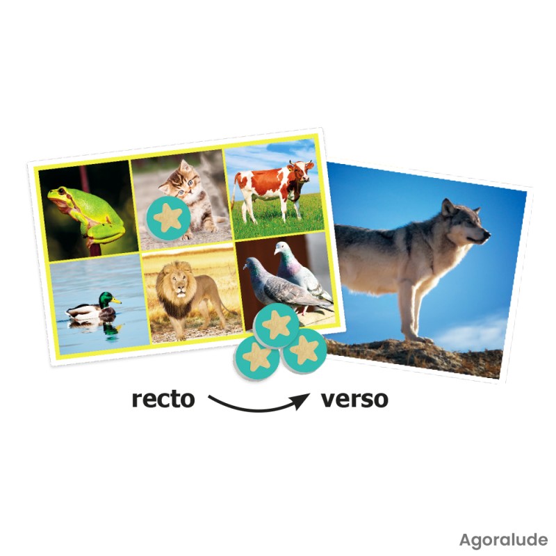 Ouïe Loto sonore Animaux & nature