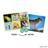 Ouïe Loto sonore Animaux & nature
