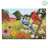 Puzzle adapté Alzheimer - Les oiseaux en été 13 pièces - emballage abîmé