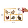 Maxiloto des animaux
