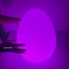 Œuf sensoriel lumineux coloré