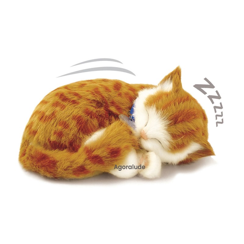 Perfect Petzzz - Chaton tigré roux - animaux d'empathie