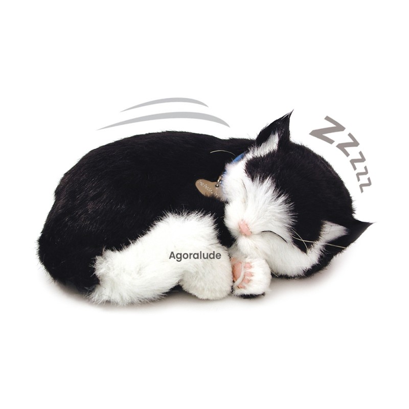 Perfect Petzzz - Chaton Noir et blanc - Animaux d'empathie