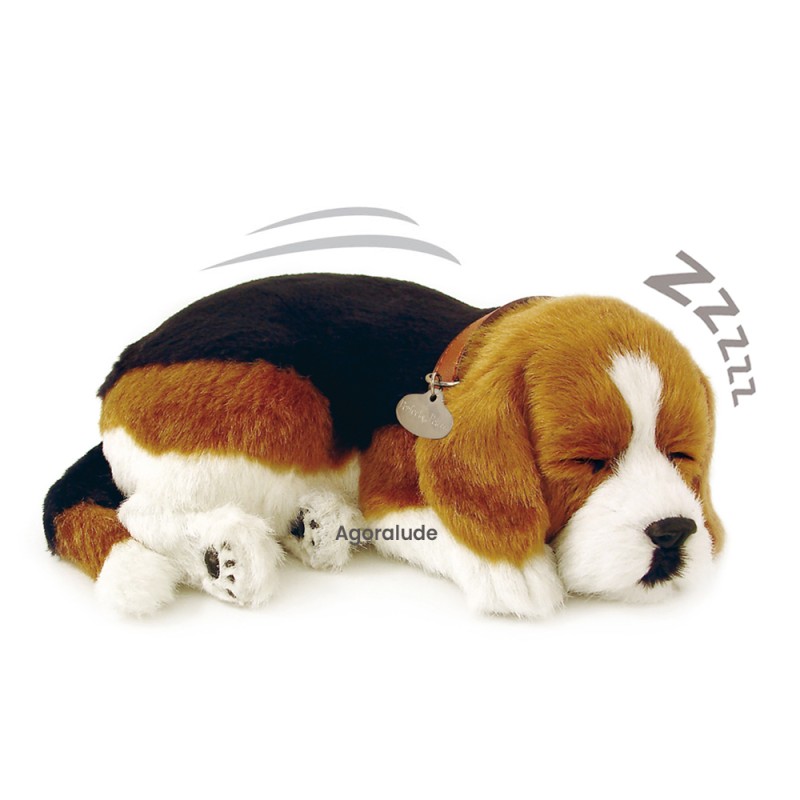 Perfect Petzzz - Chiot Beagle - Animaux d'empathie