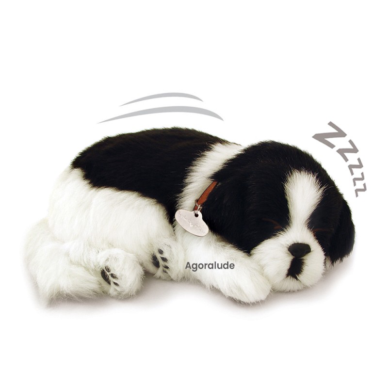 Perfect Petzzz - Chiot Border Collie - Animaux d'empathie